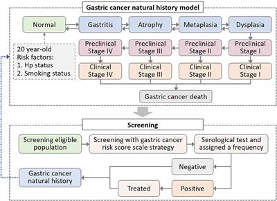 Benefit-to-harm ratio and cost-effectiveness of government-recommended gastric cancer screening in China: A modeling study